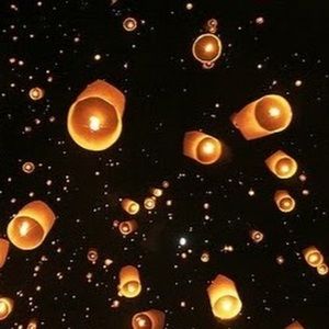 Meet your Posher, Gemma